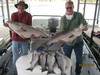 (04/02/2015) - Nice Striped Bass